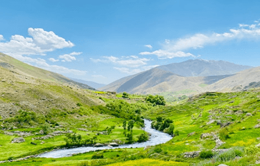 Pashtuns