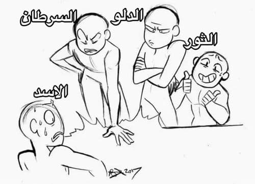 media