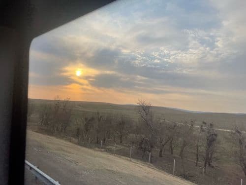 media