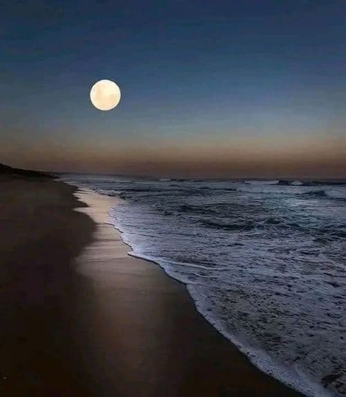media