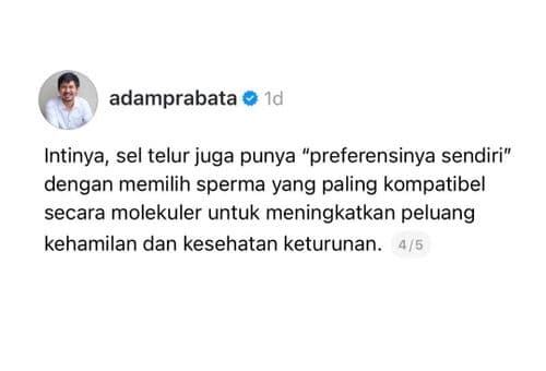 media