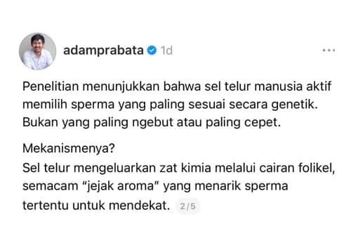 media