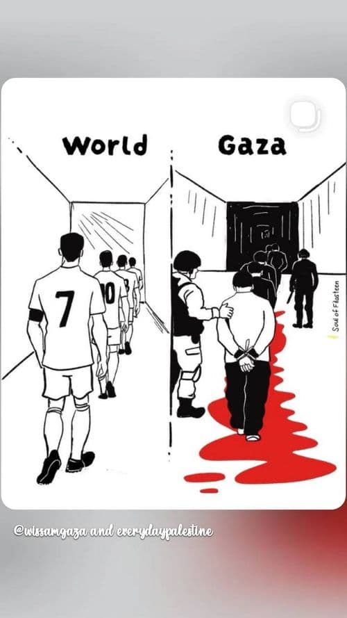media