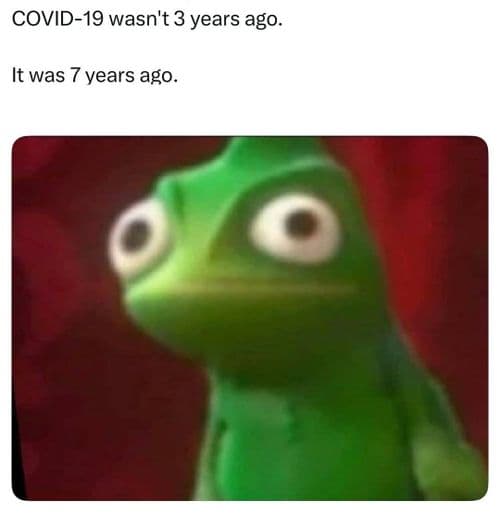 media
