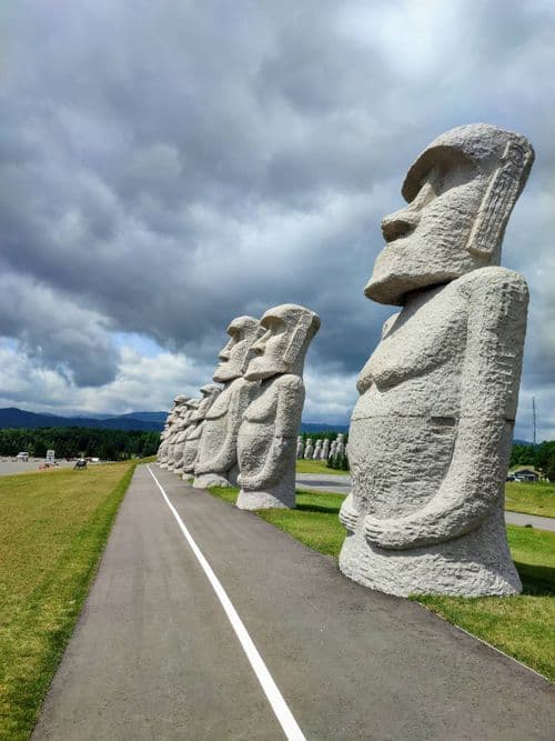 media