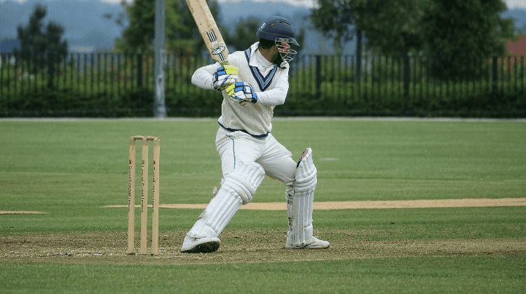 Cricket