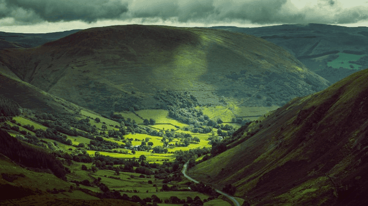 Muslims in Wales